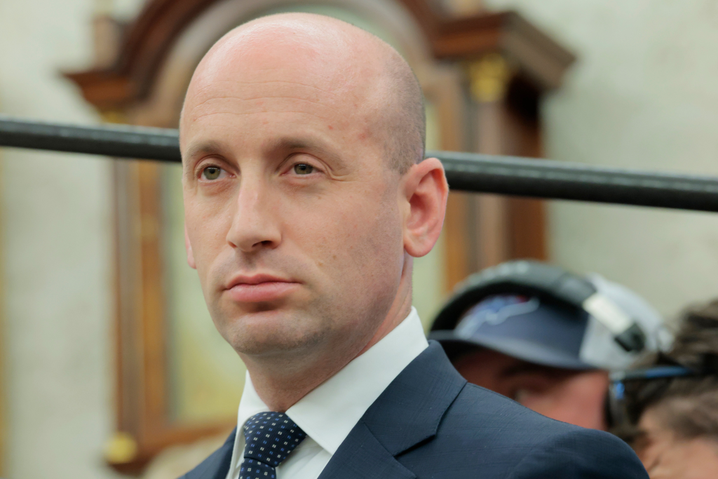 Stephen Miller Wiki / Bio